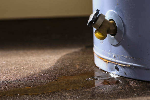 Best Carpet water damage restoration  in Garberville, CA