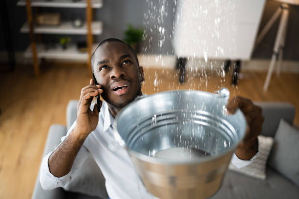 Best Water damage restoration near me  in Garberville, CA