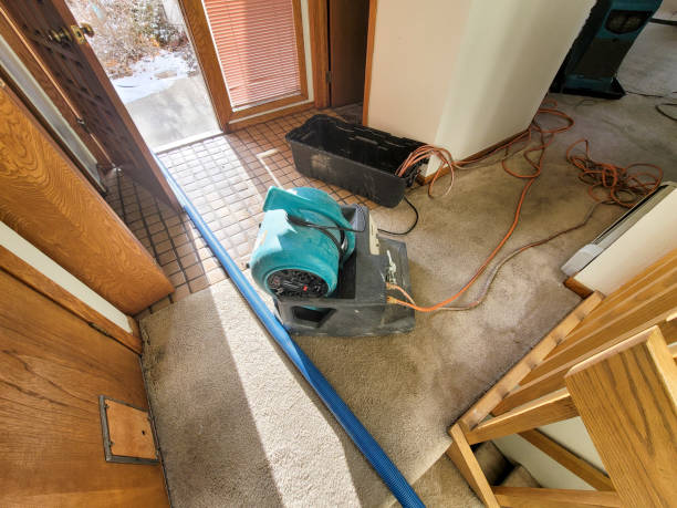 Best Water damage cleanup near me  in Garberville, CA