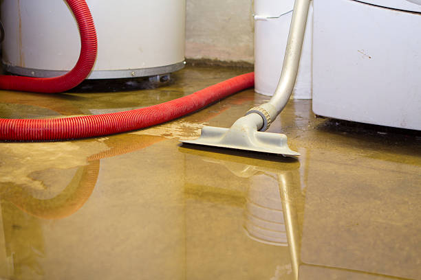 Best 24-hour water damage restoration  in Garberville, CA