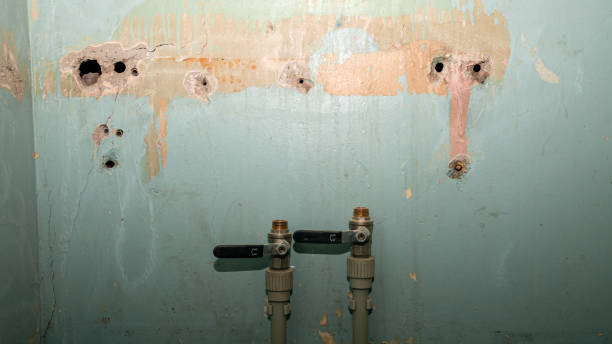 Best Local water damage restoration  in Garberville, CA